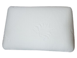 KUSSEN LATEX ALOE VERA 60 x 70 SOFT
