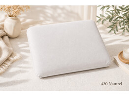 Jersey Travel Pillow 20 x 30 cm Natural 420