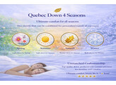 DONS SORAYA QUEBEC DUO 700   1000 GR 240/220
