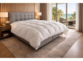 Hotel Duvet Royal Loved Autumn 260 x 220