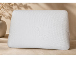 kussen latex Aloe Vera 60 x 70 Medium