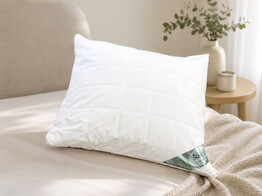 COTTON PROTECTOR PILLOW 60/60-65/65 100  KATOEN 200 gr my