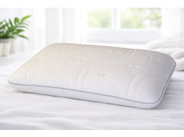 Silver Pillow 40 x 60