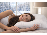 Oreiller Silver Therapeutic Large