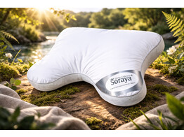 Airbox Therapeutic Pillow