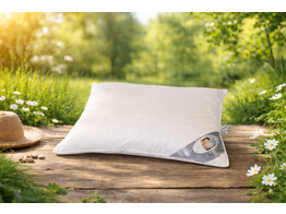 Oreiller Big Sleep passepoil   fermeture eclair 40 x 60   420 g