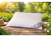 Kussen Big Sleep bies   rits 60 x 70   930 gr