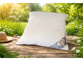 Big Sleep pillow piping   zipper 80 x 80   1360 g