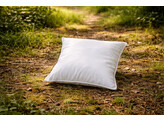 Big Sleep pillow zipper 40 x 40   300 g