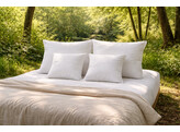 Big Sleep pillow zipper 40 x 40   300 g