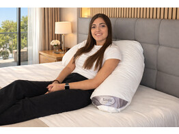 Boomerang Pillow