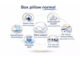 Box Pillow Normal 50 x 50 - 10