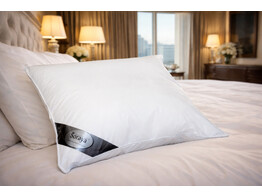 Lynne Pillow piping and zipper 40 x 60 filling 350 g