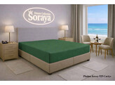 Platina Jersey lenzuolo con angoli 180-200 x 200-220 Cactus 525