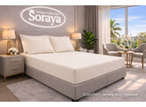 COMFORT JERSEY 180-200/200-220 Naturel 420