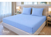 Standard Jersey 090-100/200-220 Sky 663