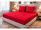 Standard Jersey 090-100/200-220 Tomato 668