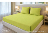 Standard Jersey 140-160/200-220 Lime 244