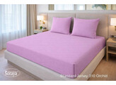 Standard Jersey 140-160/200-220 Orchid 310