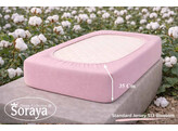 Standard Jersey 140-160/200-220 Blossom 513