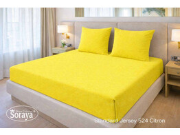 Standard Jersey 140-160/200-220 Citron 524
