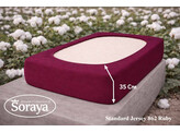 Standard Jersey 140-160/200-220 Ruby 862