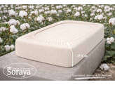 Standard Jersey 180-200/200-220 Naturel 420
