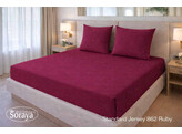 Standard Jersey 180-200/200-220 Ruby 862
