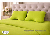 Taie d oreiller Jersey Therapeutic Medium 244 Lime