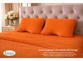 Jersey Therapeutic M Orange 263