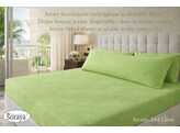 Taie de traversin Jersey 60x90 244 Lime