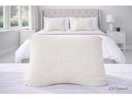 Jersey Pillowcase Duo Pillow 420 Natural