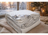 Comfort Sleep  4 seasons  260/220