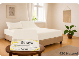Platina Jersey Lenzuolo con angoli 1 Split 140-160/200-220 Naturel 420