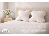 Jersey Royal Pillowcase Clover Naturel 420